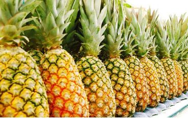 Fresh Pineapple