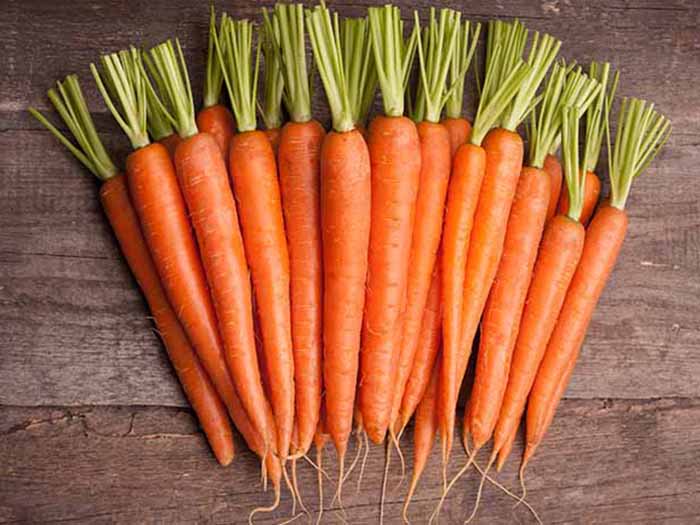 Organic Fresh Carrot, for Food, Juice, Pickle, Taste : Delicious, Sweet