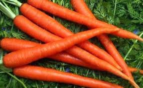 Organic carrot