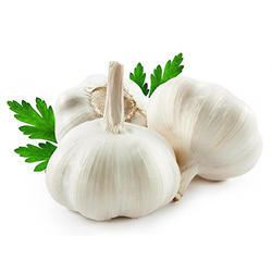 Organic Garlic