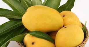 Organic Yellow Mango, for Direct Consumption, Packaging Type : Wooden Carton, Corrugated Box