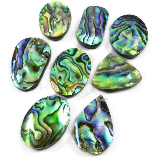 Abalone Stone Cabochon