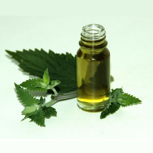  Catnip essential oil, for Aromatherapy, Personal Care, Purity : 99.9%