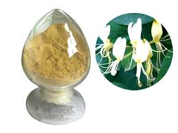 Honeysuckle extract, Botanical Name : Lonicera