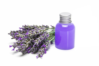Lavender Indian Essential Oil