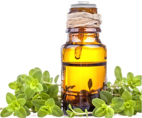 Marjoram Essential Oil, Color : Colorless to Pale Yellow