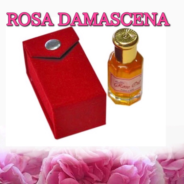 Rose Damascena Absolute Oil