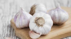 fresh garlic