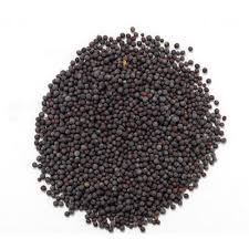 Organic black mustard seeds, Certification : FSSAI Certified
