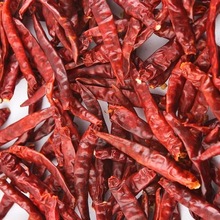 Dry red chilli, Certification : SPICE BOARD