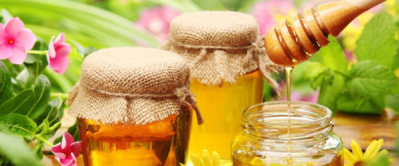 Organic Honey, for Personal, Medicines, Feature : Freshness, Hygienic Prepared, Optimum Purity