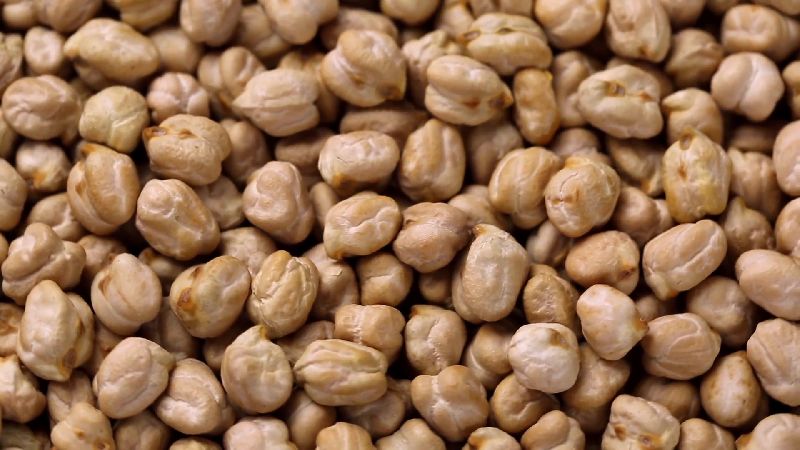 Natural Chickpea Seeds, for Cooking, Food, Medicinal, Purity : 98%