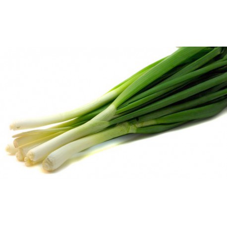 Organic Fresh Green Shallots, Packaging Size : 5-10kg