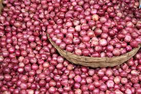Organic fresh red onion, for Cooking, Enhance The Flavour, Human Consumption, Packaging Type : Jute Bags