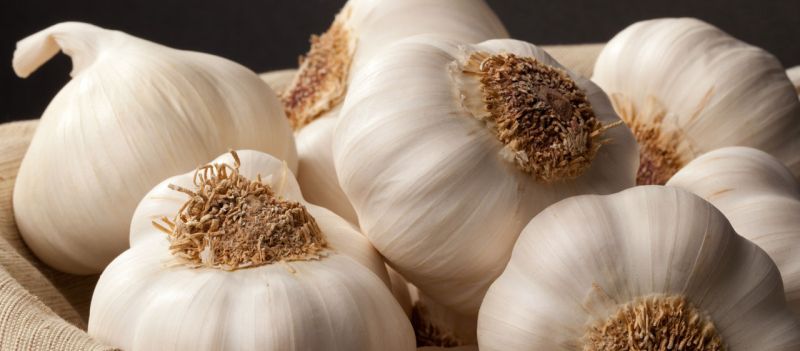 Organic Fresh White Garlic, Feature : Gluten Free, Moisture Proof