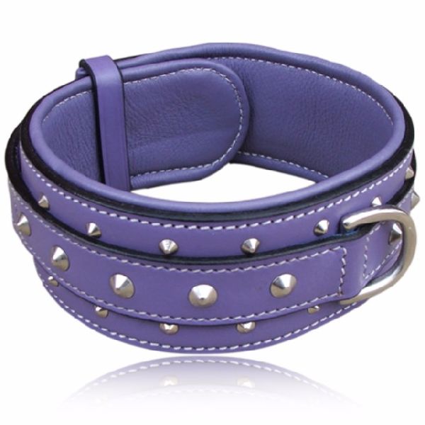 Cushioned Leather Dog Collars Studded