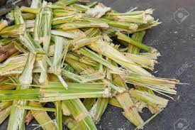 Sugarcane Bagasse, Feature : Biodegradable, Eco-Friendly