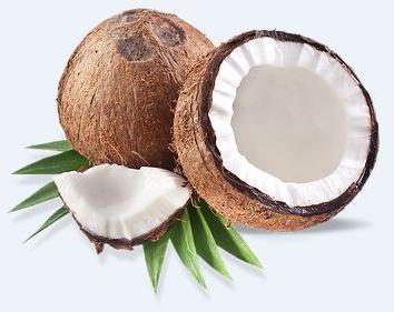 Organic Coconut, Color : Brown