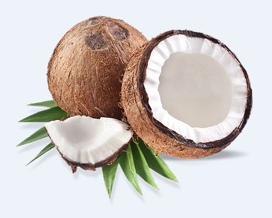 Semi husked coconut, Shelf Life : 3months