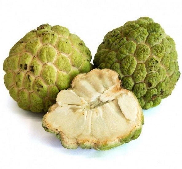 fresh custard apple