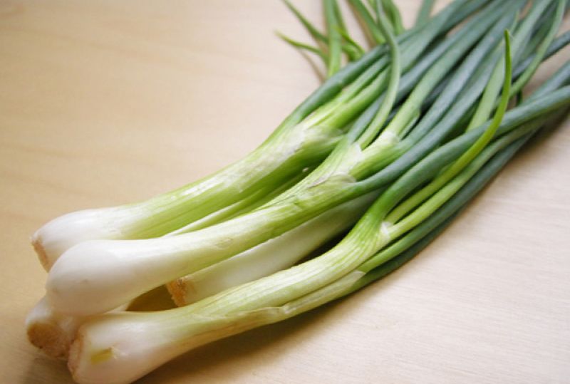 Fresh Spring Onion