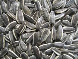 Organic Sunflower Seed Shell, for Agriculture, Purity : 98%
