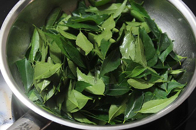 Curry Leaf Powder Mix