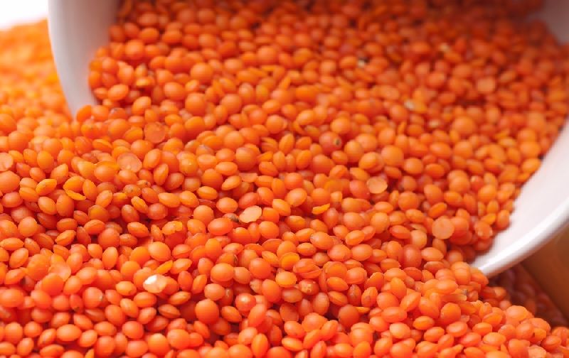 Organic orange Lentils Dal/Pulses, Packaging Type : Bulk, Sack