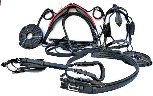 Driving Harness-6786