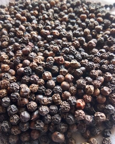 Natural Black Pepper, Packaging Type : Gunny Bag