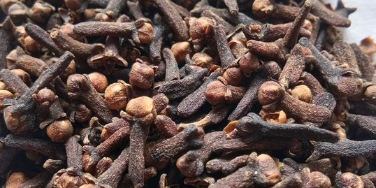 Organic Clove, Packaging Size : 20 Kg, 10 Kg, 5 Kg