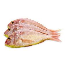 Pink Perch Fish