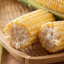 Organic Yellow Corn Seeds, for Animal Food, Bio-fuel Application, Cattle Feed, Human Consuption, Packaging Type : Bulk