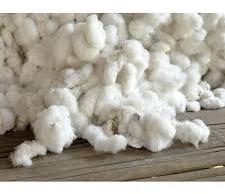 Indian Raw Cotton, for industrial, Pattern : Loose