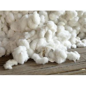 Indian White Raw Cotton