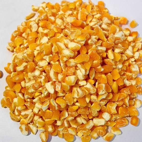 Common Maize(Corn), for Animal Food, Bio-fuel Application, Human Food, Making Popcorn, Cattle Feed