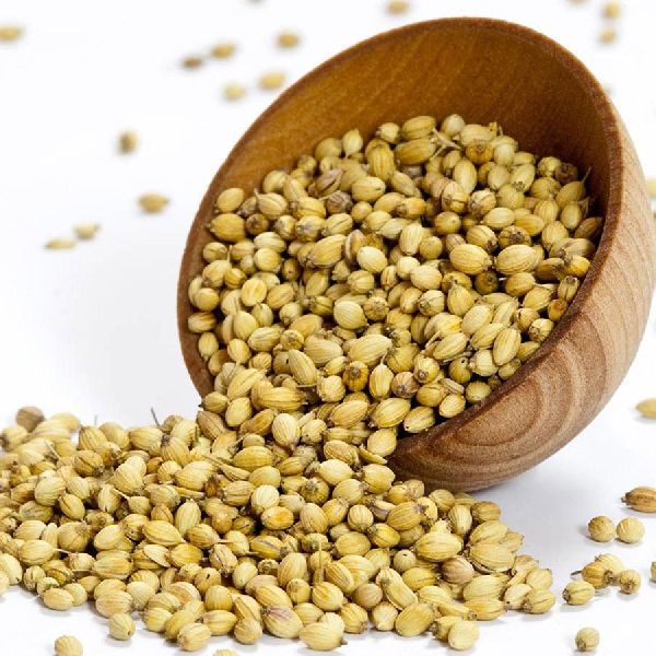 Common coriander seeds, for Agriculture, Cooking, Food, Medicinal, Certification : FSSAI