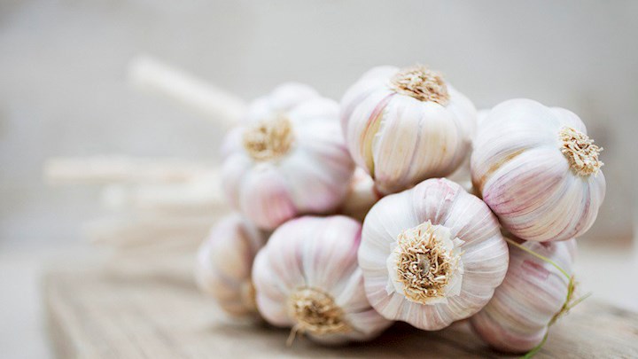 Common fresh garlic, for Cooking, Fast Food, Snacks, Style : Solid
