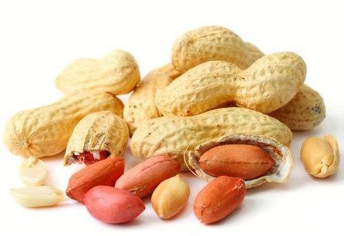 Groundnut, for Cooking, Namkeen, Oil Extraction, Snacks, Style : Kernels