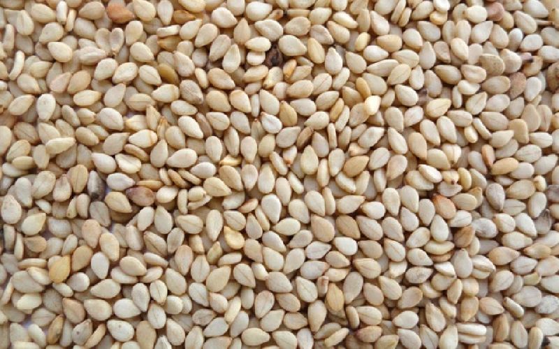 Sesame seeds, Packaging Type : Brown, Packaging Size : 50kg
