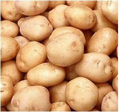 Common Potatoes, Shape : Round