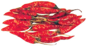 Dry red chilies