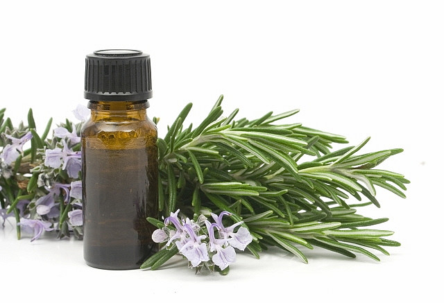 Natural Rosemary Oil