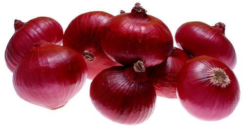 Organic fresh red onion