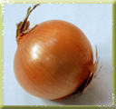 Pusa Pursungi Onion