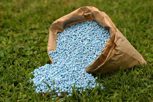 Granular Fertilizer, Purity : 95%