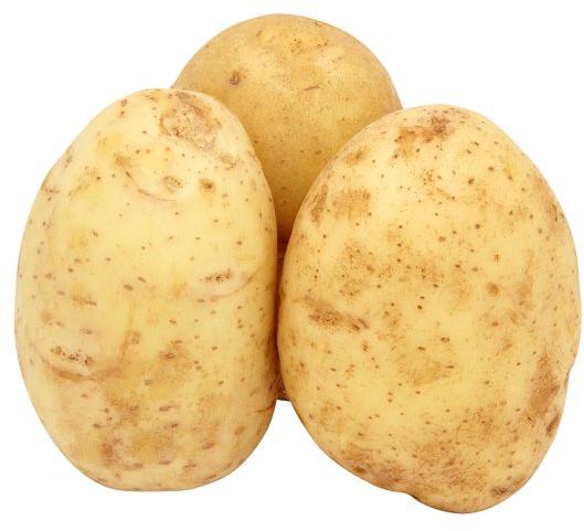 Organic fresh potato, Packaging Size : 100kg