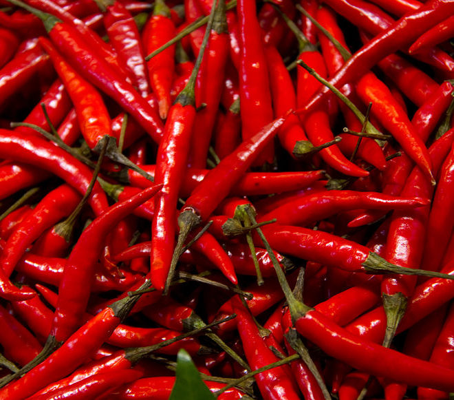 Organic Fresh Red Chilli, Packaging Size : 20kg