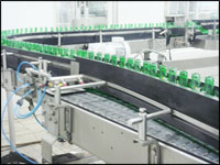 Glass Bottle Conveyor