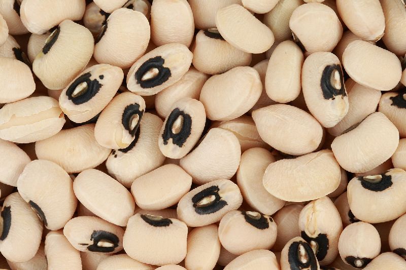 Organic Black Eyed Beans, Packaging Type : Bulk